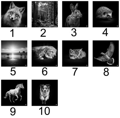 Porte-clé animaux et nature