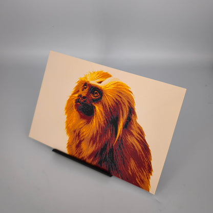 Hueforge Tamarin Lion Doré