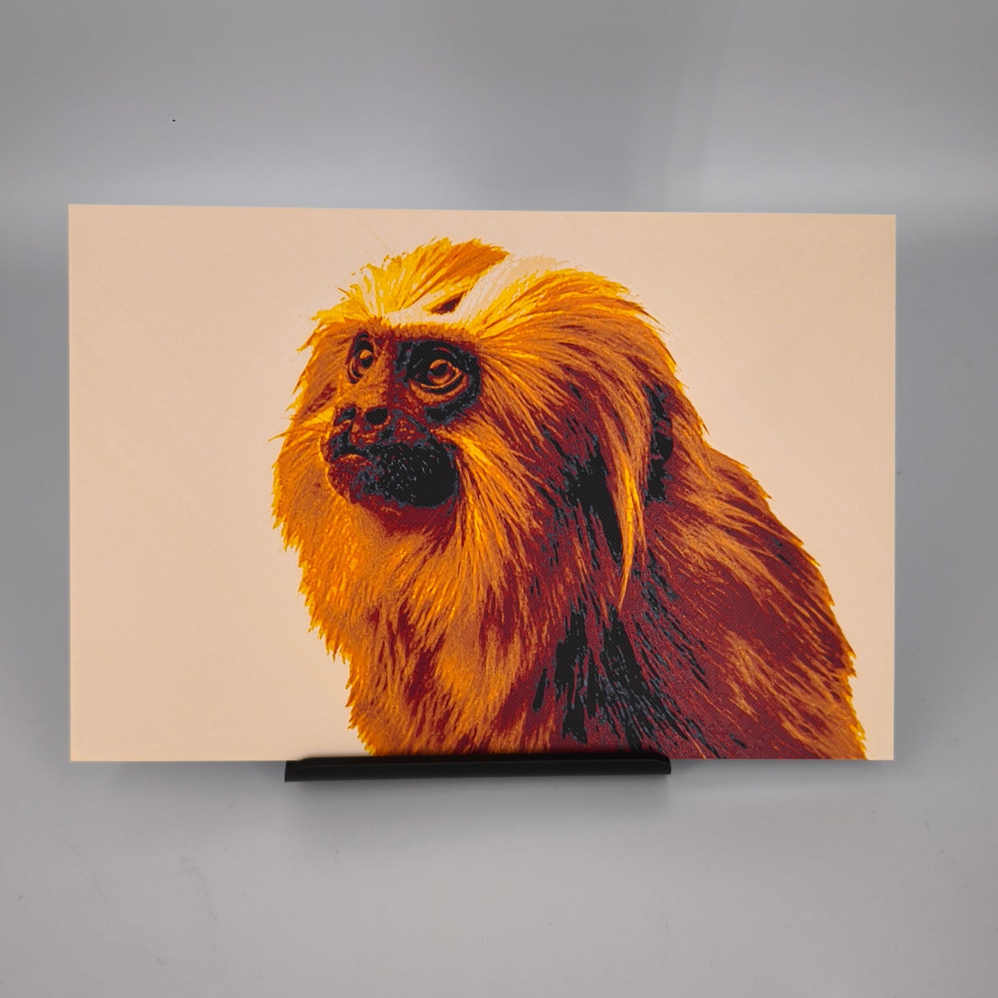 Hueforge Tamarin Lion Doré