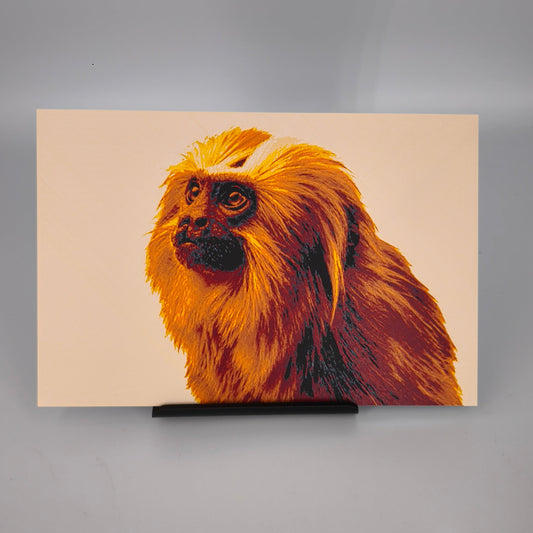 Hueforge Tamarin Lion Doré